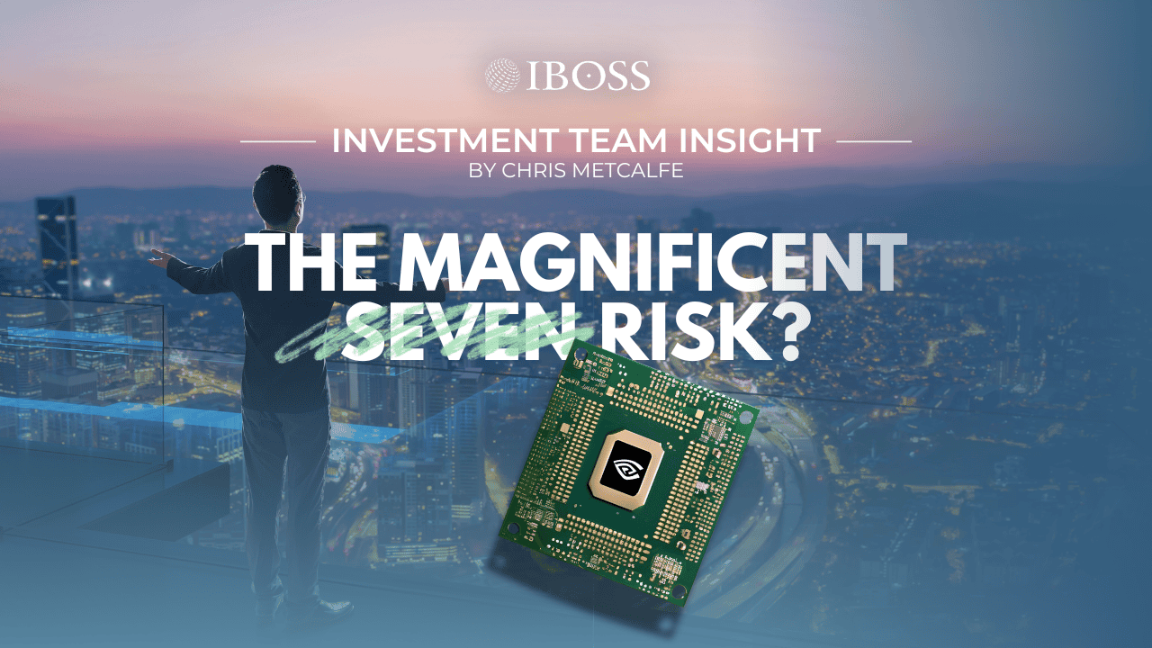 The Magnificent Seven Risk